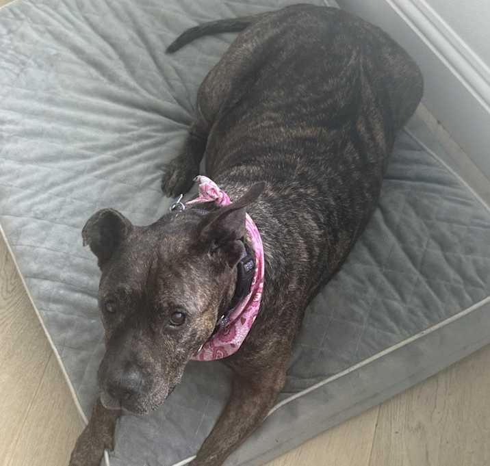 Photo of Precious
