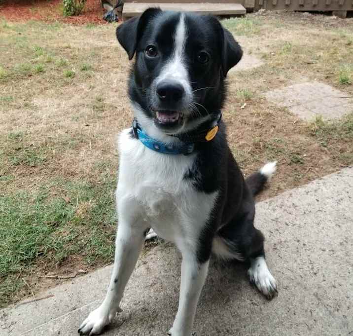 Photo of Loki