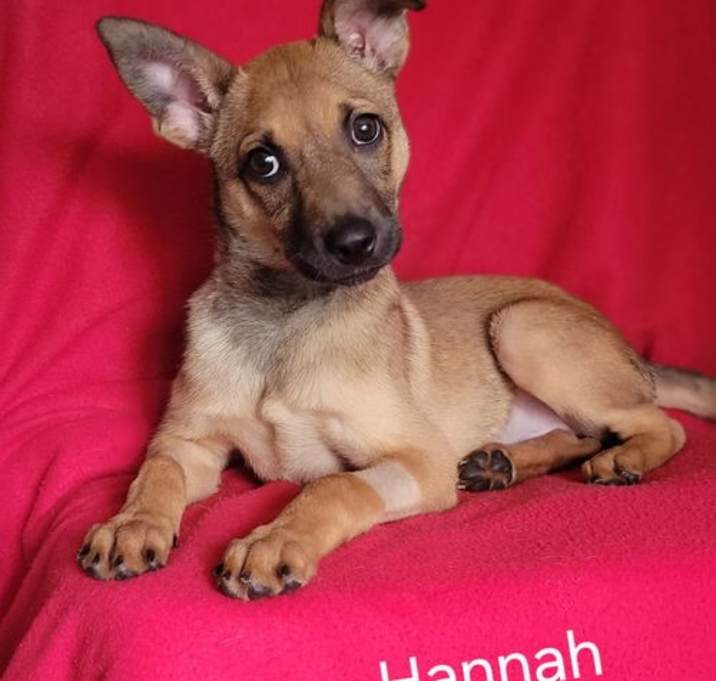 Photo of Hannah