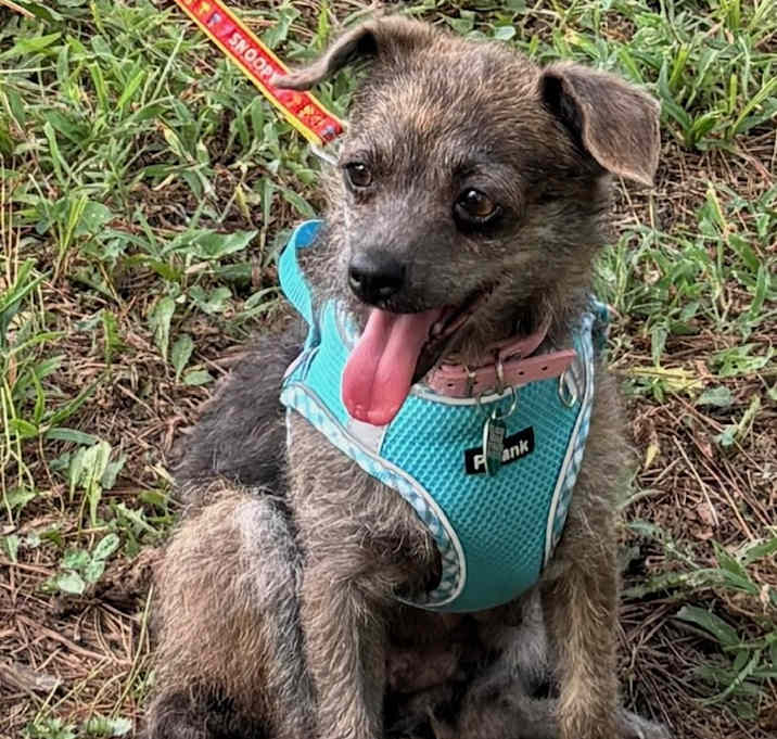 Photo of Hazel