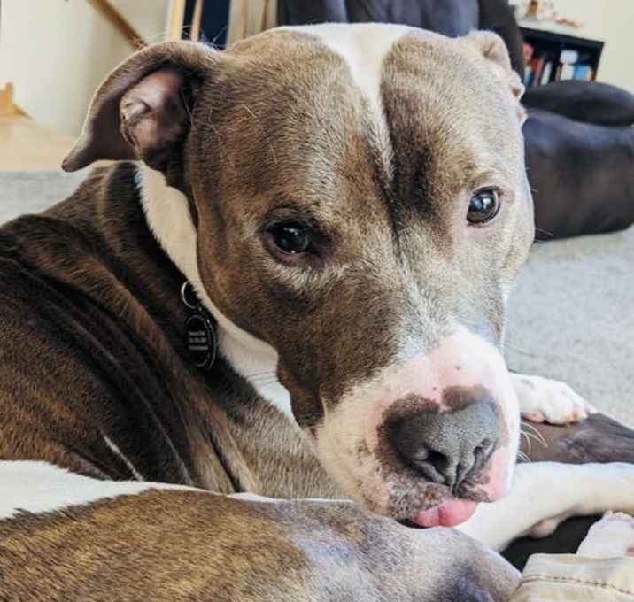 Photo of Rico