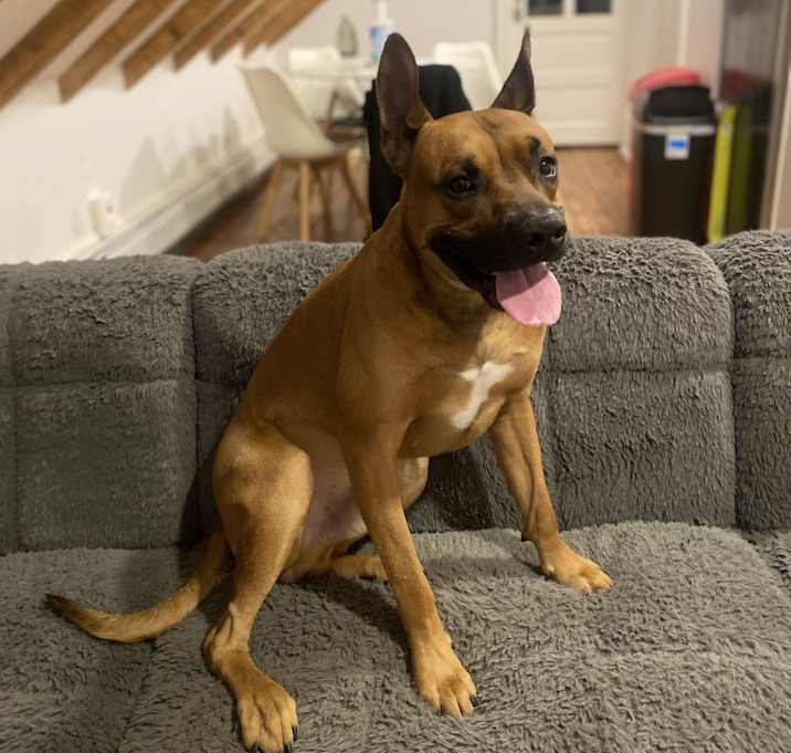 Photo of Drako