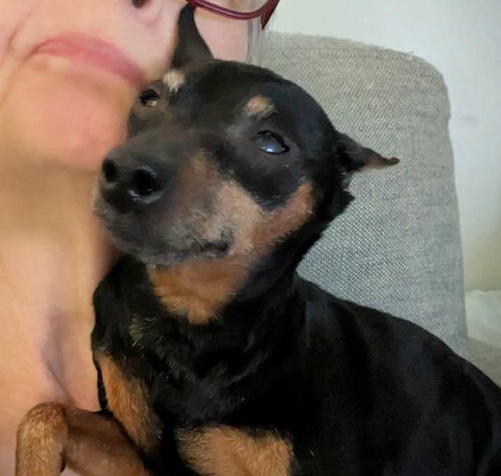 Photo of Elsbeth (PA) gentle girl