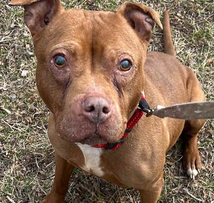 Photo of Zoe - Hospice
