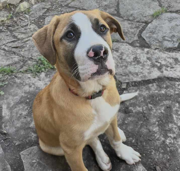 Photo of Gus