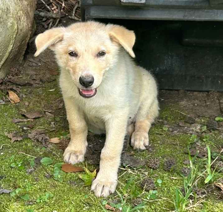 Photo of Padme