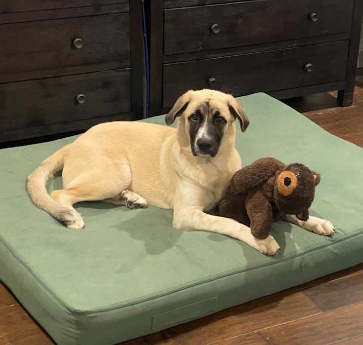 Photo of Macy