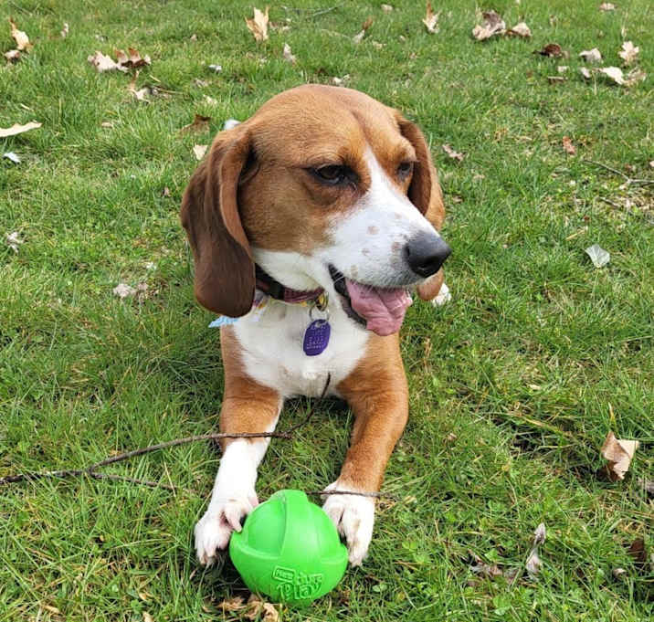Photo of Maggie