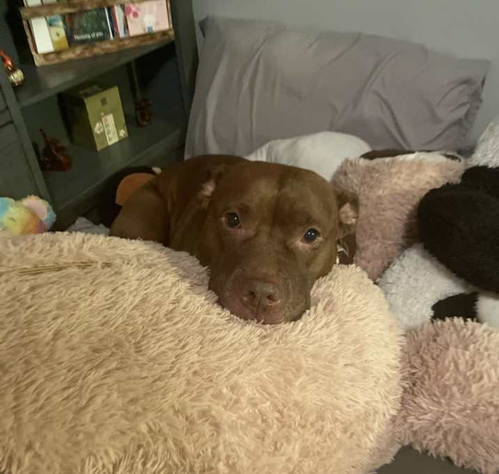 Photo of Penny