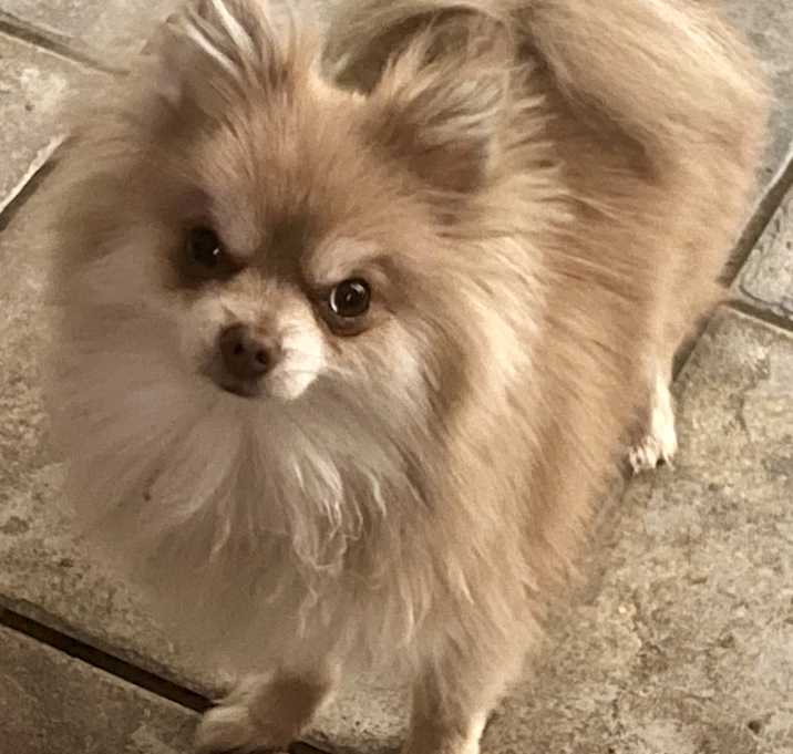 Photo of Zoey