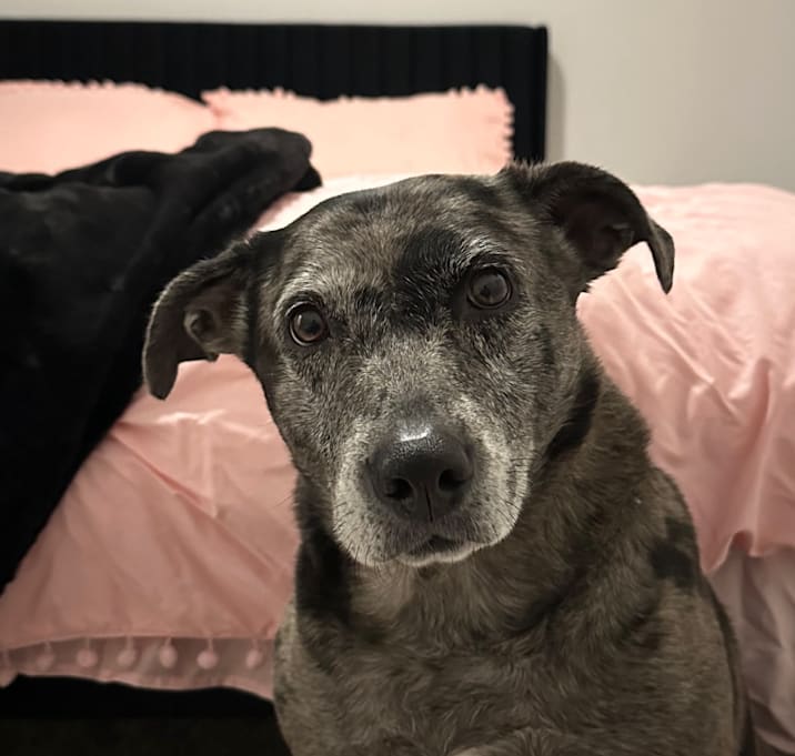 Photo of Jellybean