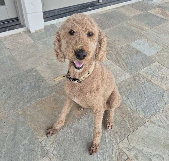 Photo of Grace