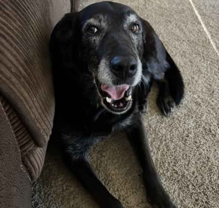 Photo of Mama