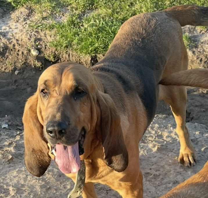 Photo of Annie