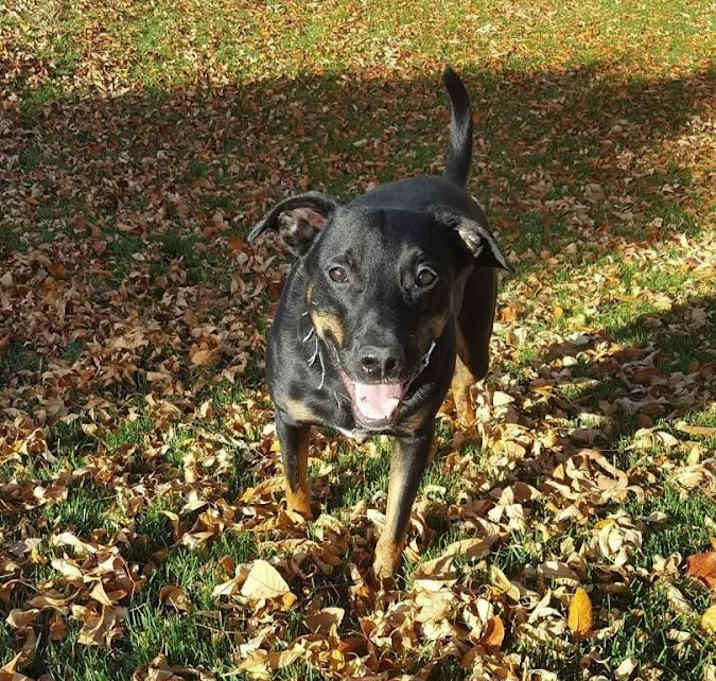 Photo of Mosby