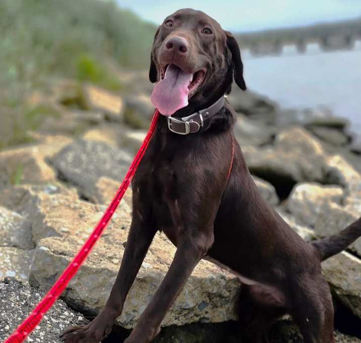 Photo of ROXY