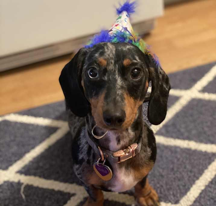 Photo of Charlie