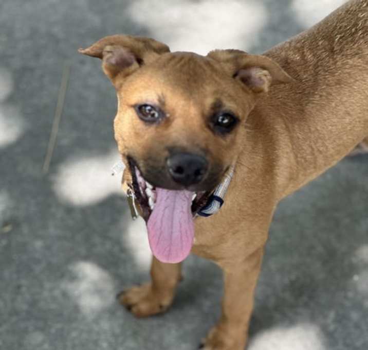 Photo of Ace Bailey
