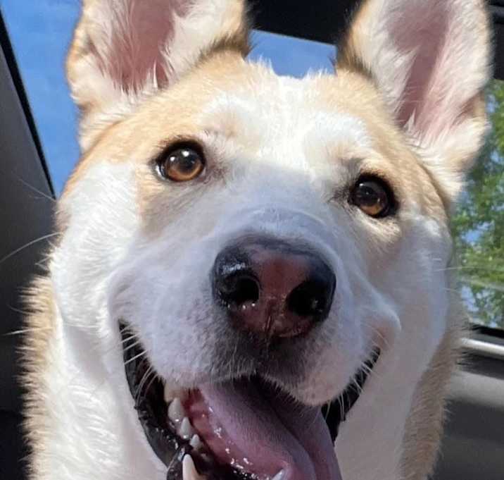 Photo of Mara