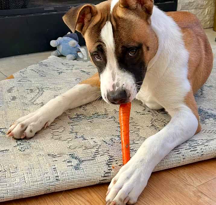 Photo of Charlie