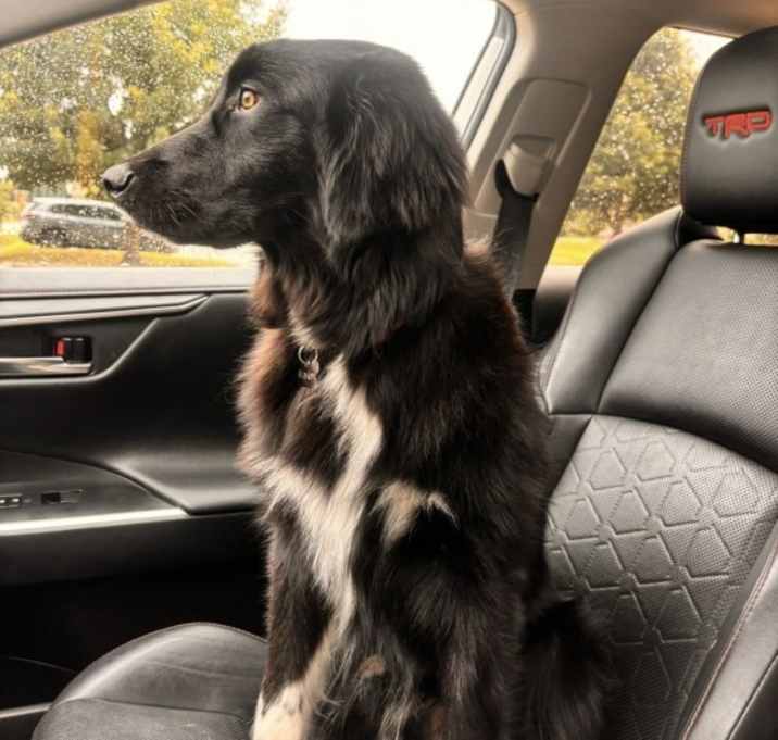 Photo of Waylon