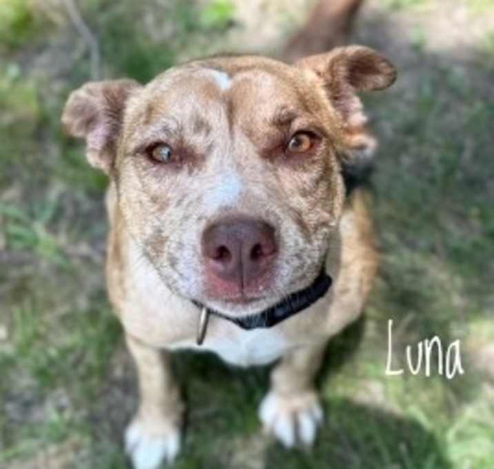 Photo of Luna 125228