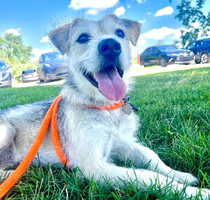 Photo of Ruby