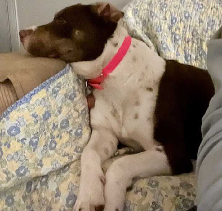 Photo of Mitzi - watch new video!