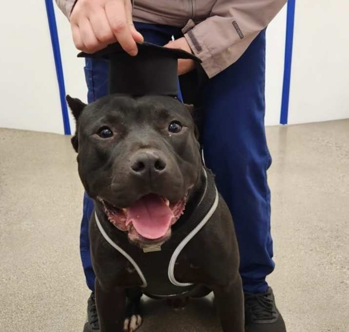 Photo of Odin