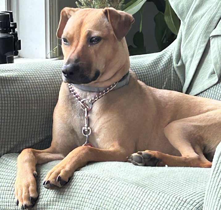 Photo of Ginny