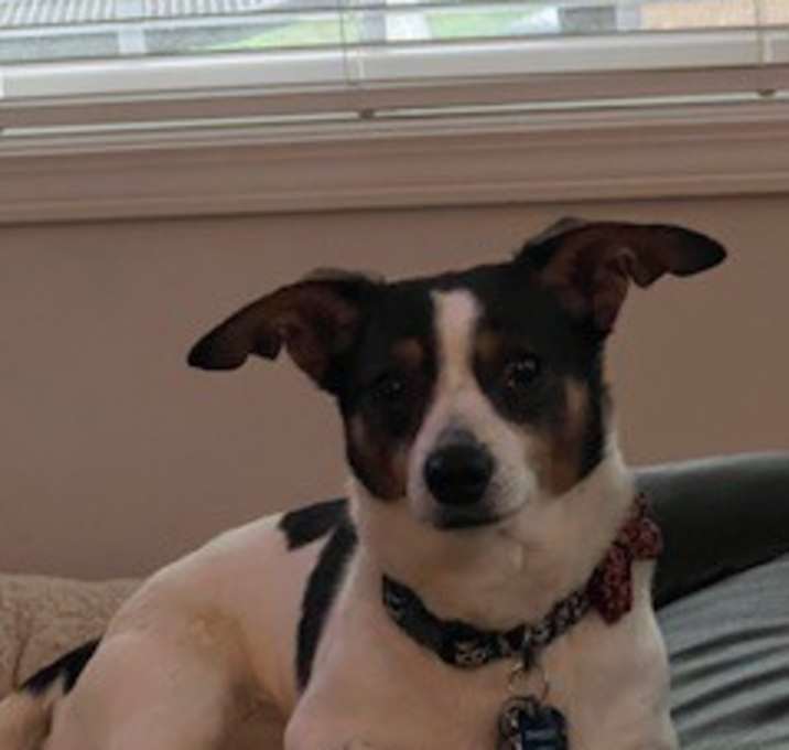 Photo of BRANTLEY