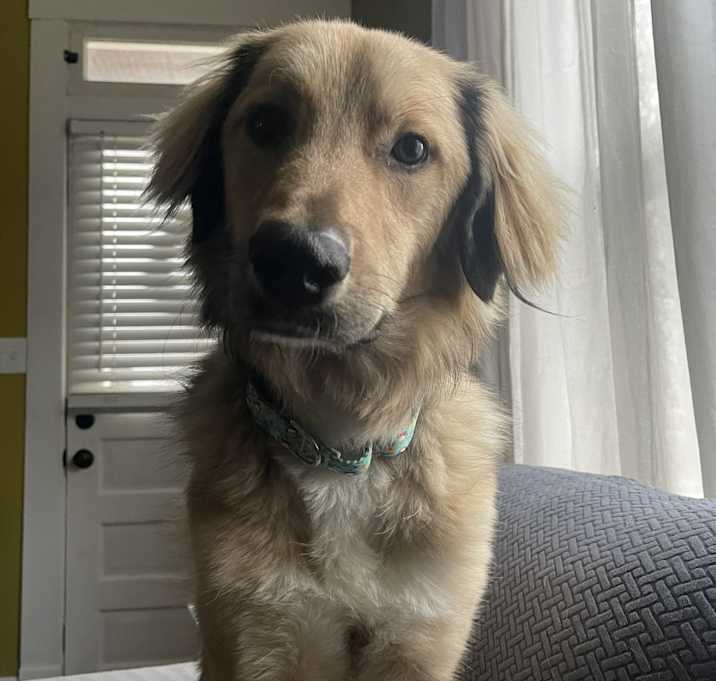 Photo of Gus