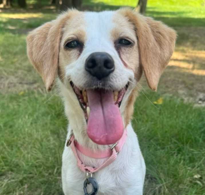 Photo of Mia