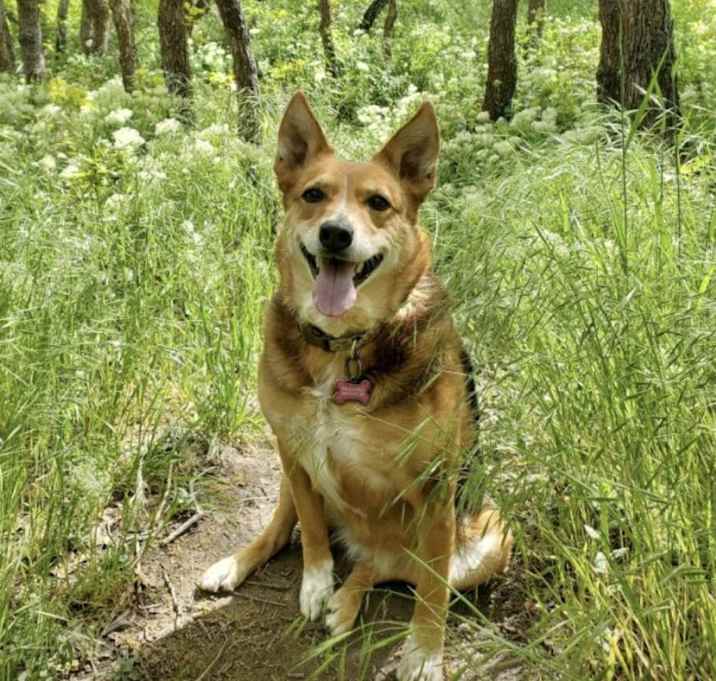 Photo of Heidi