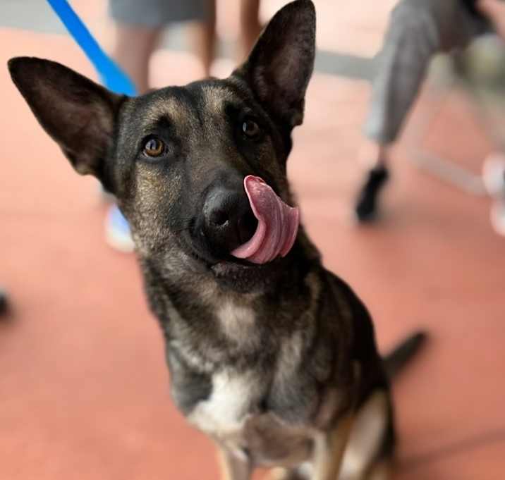 Photo of Cesar