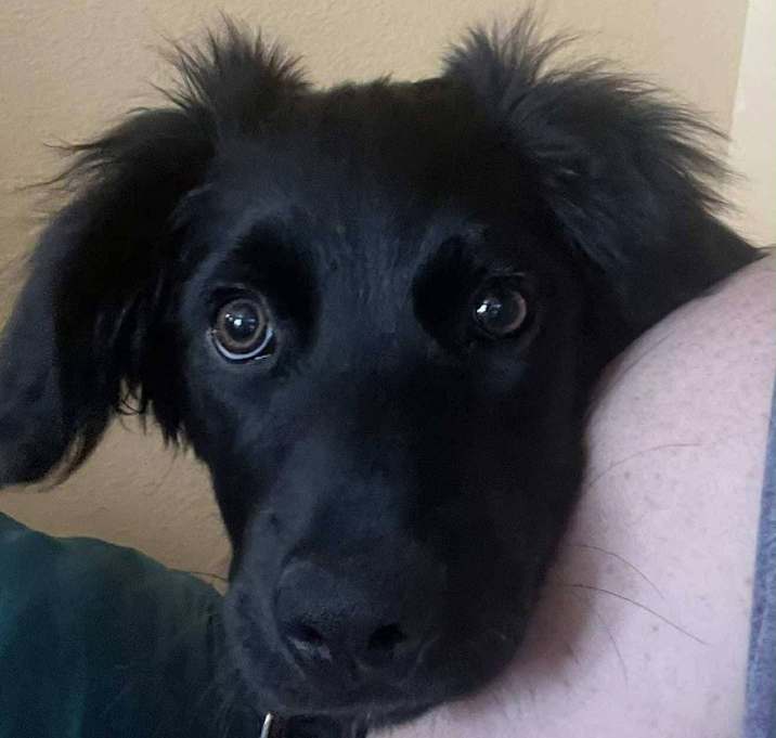 Photo of Knox