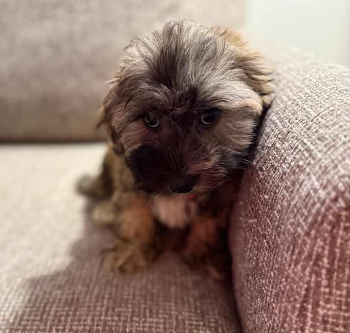 Photo of Splash