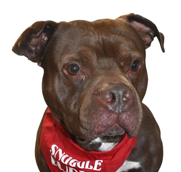 Photo of Ace