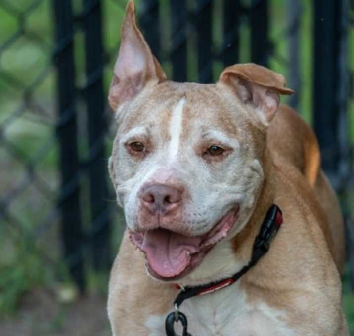 Photo of Thor