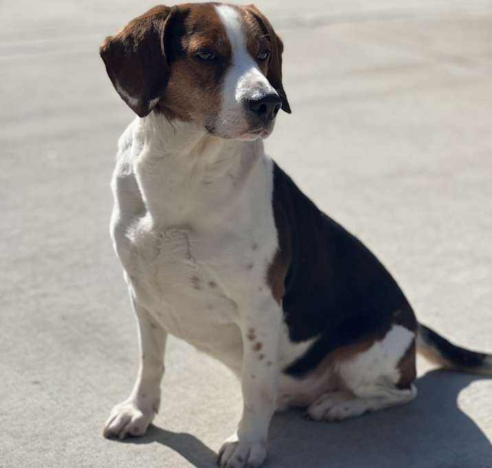 Photo of Chapo