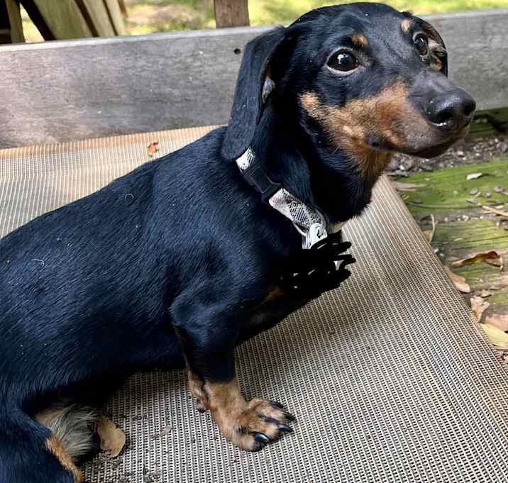 Photo of Sprout