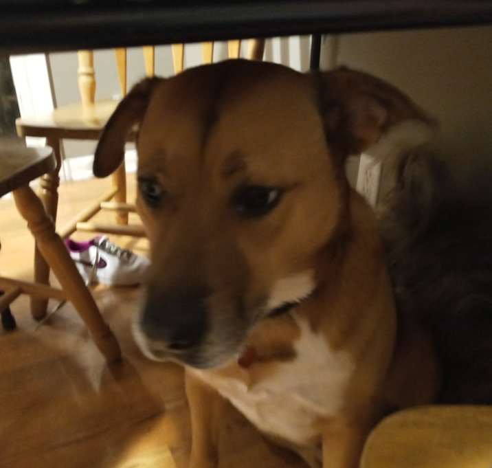 Photo of Mamas