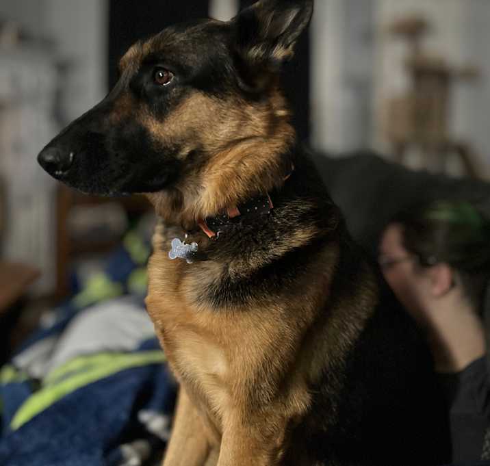 Photo of Mara Jade