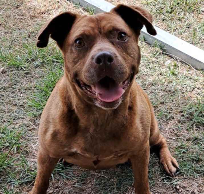 Photo of Kali