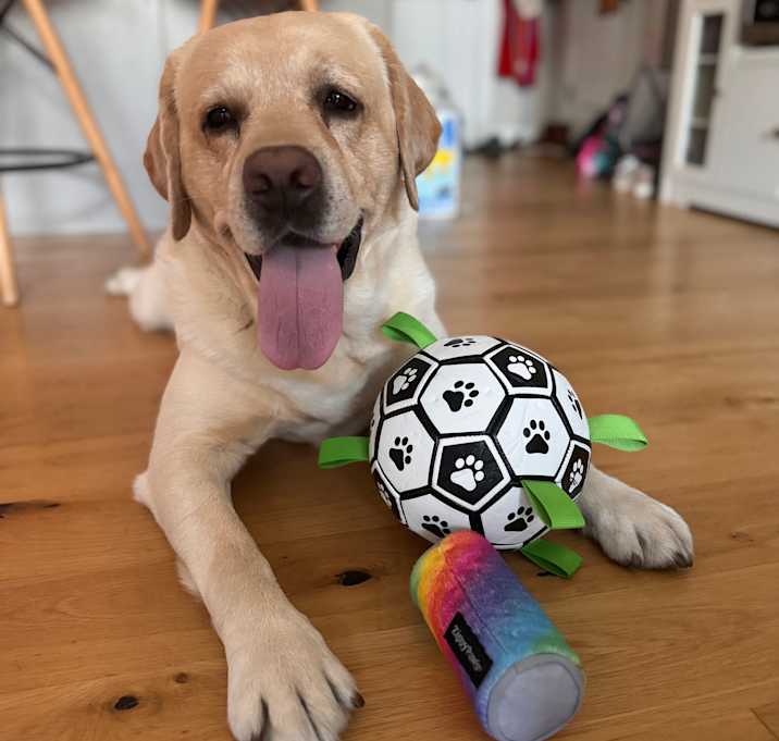 Photo of Sam