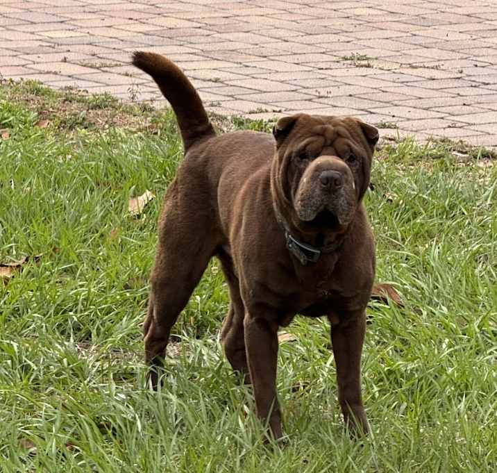 Photo of Rusty Lee