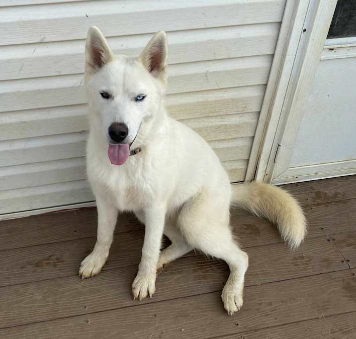 Photo of Siku