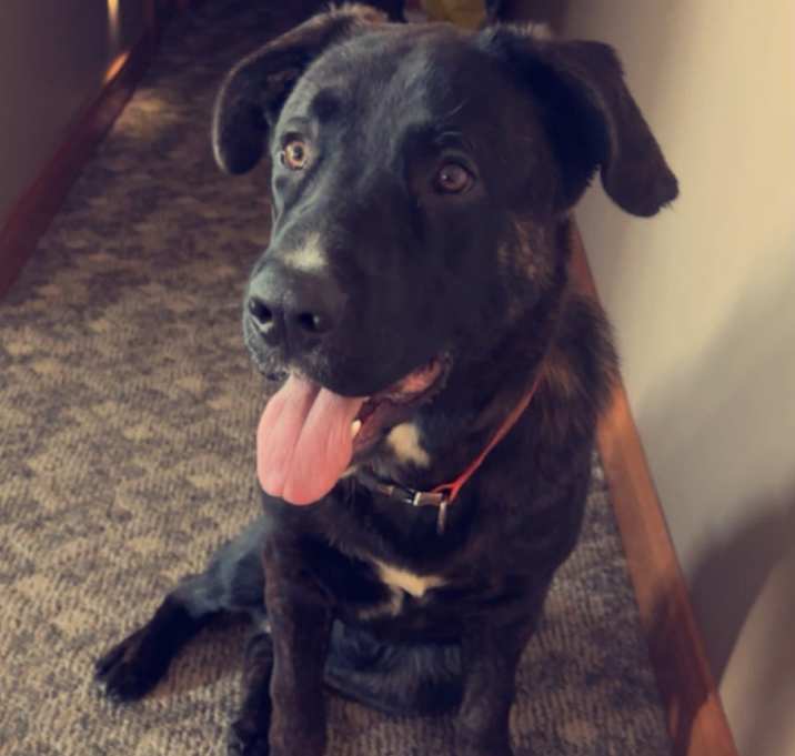 Photo of Ajax