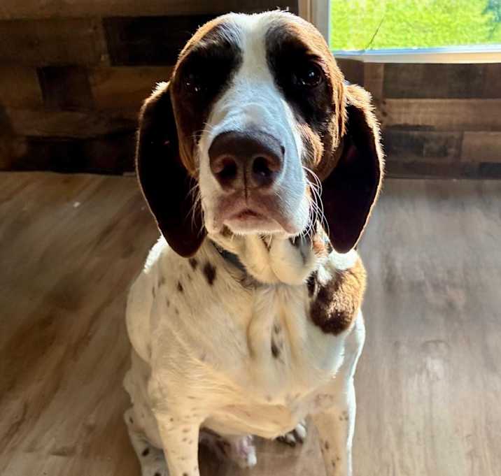 Photo of Teddy
