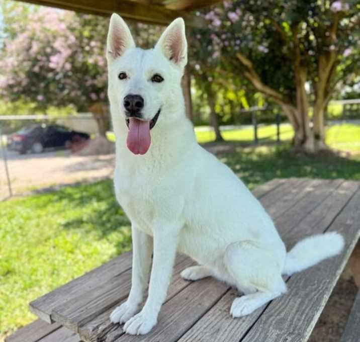 Photo of Velo